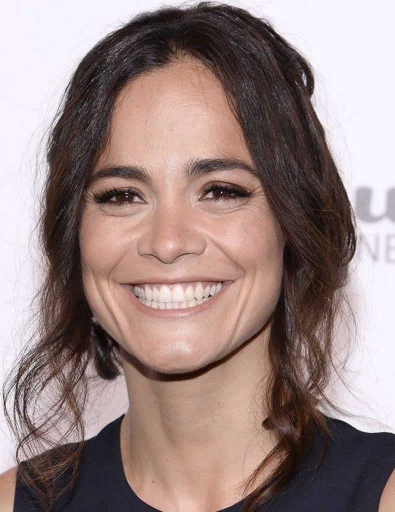 Alice Braga Net Worth